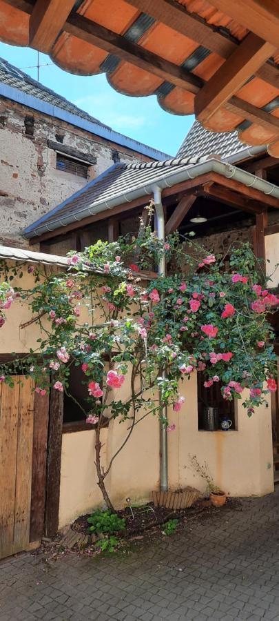 La Charpenterie Apartamento Bergheim Exterior foto